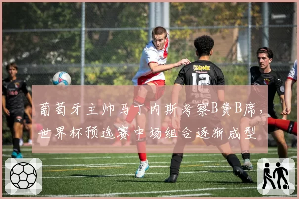 葡萄牙主帅马丁内斯考察B费B席,世界杯预选赛中场组合逐渐成型